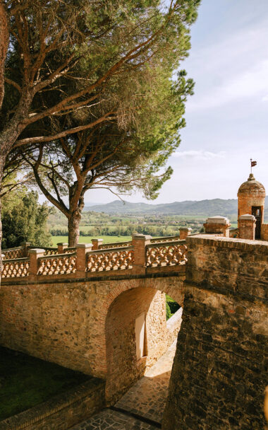 02 shape castello new