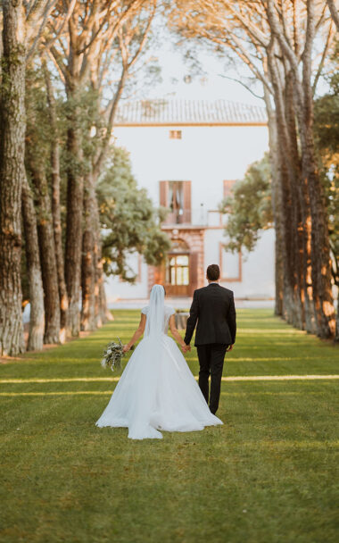 Shape matrimonio new